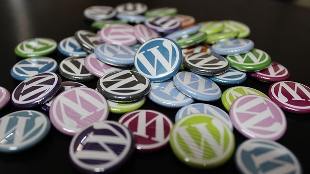 WordPress-Hosting