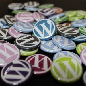 WordPress-Hosting